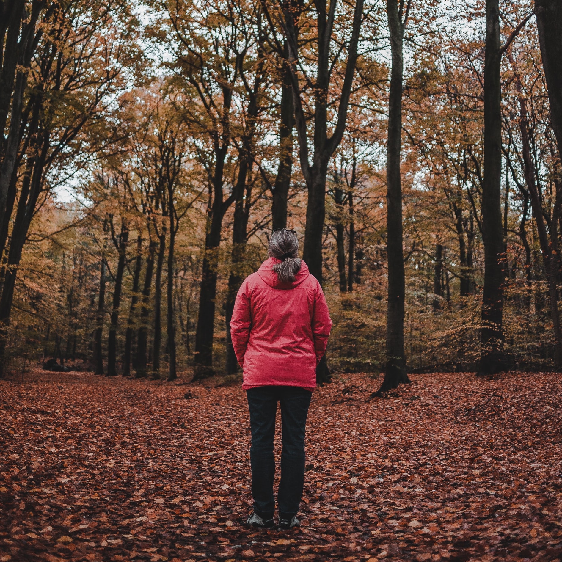 a woman stands along looking out at a forest in
       autumn