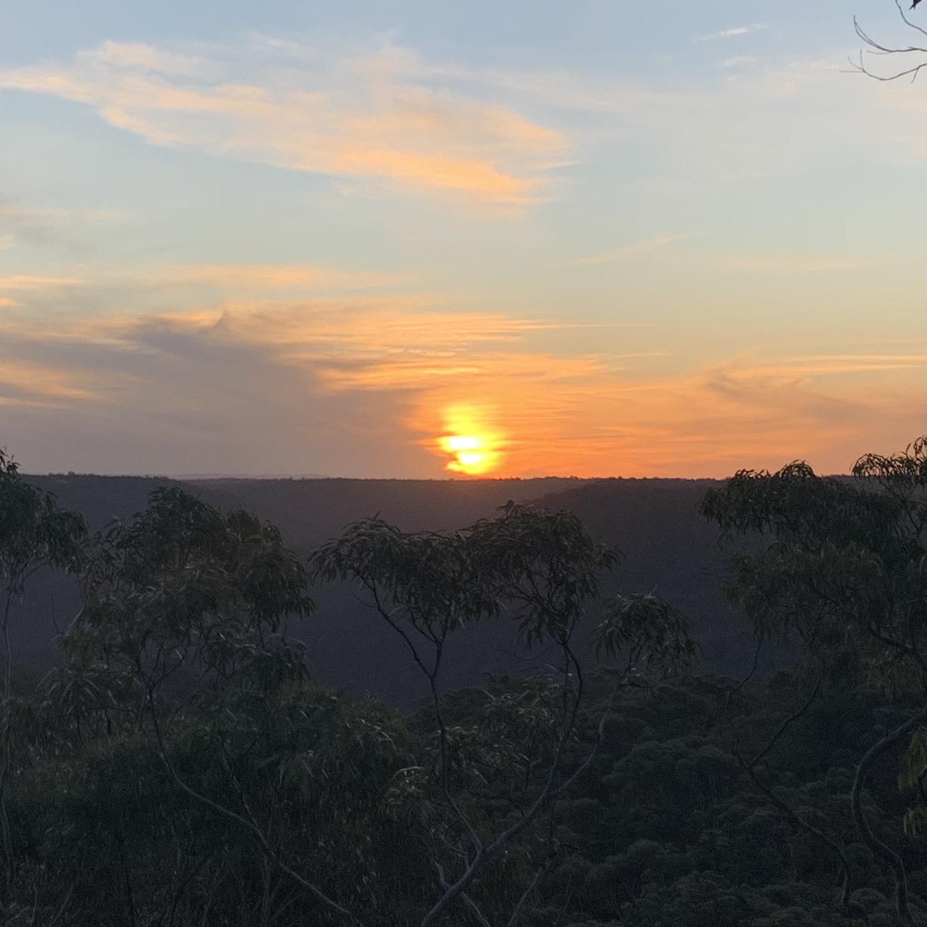 Photo of a
                sunset over bushland. The sun is dipping into a light cloudy haze as it approaches
                the horizon